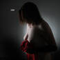 MEREL DEWIT (Photo #11)