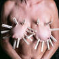 VAGINELLA (Photo #71)