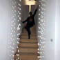 Capricia location (Photo #11)
