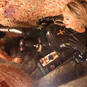 Fetish Katherina (Photo #117)