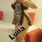 Luna-Bresil (Photo #3)