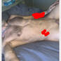 Jo (Photo #2)