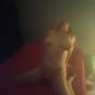 Milla (Photo #5)