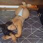 Fernanda (Photo #15)