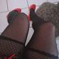 Trans Isabella (Photo #46)