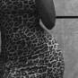 Nubia (Photo #2)