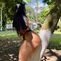 REBECA COQUINE (Photo #19)