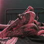 Bellatrix (Photo #4)