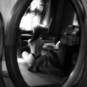 Dita (Photo #5)
