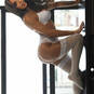 Ashiley trans (Photo #15)