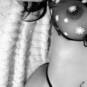 Julia (Photo #18)