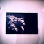 Nessia love (Photo #38)