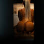 Candis - Namur (Photo #7)