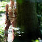 Elisa - Mons (Photo #11)