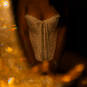 Vanessa - Namur (Photo #14)