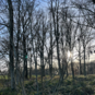 Châtelains (Photo #7)