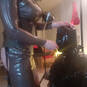Lady Noctula (Photo #19)