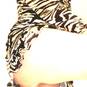 Lola (Photo #6)