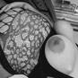 Rebecca enceinte (Photo #28)