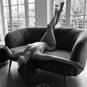 LiliSunshine (Photo #22)