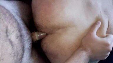 A 4pattes yeux bander